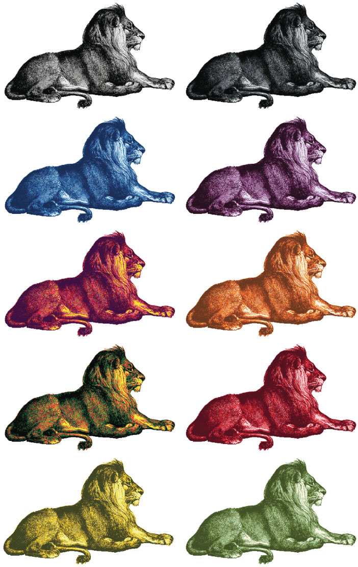 Lion in 10 color ways free counted crossstitch pattern